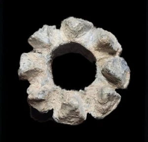 Rouelle gauloise - Picture 1 of 2