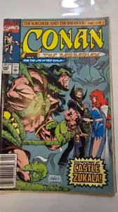 Conan the Barbarian Vol. 1 #243 April, 1991 Marvel Comics - Picture 1 of 4