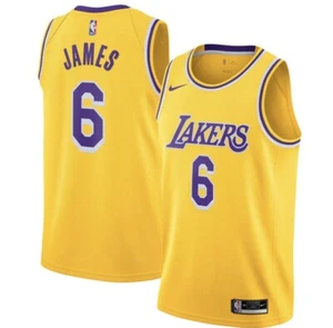 NWT XL Nike Lebron James LA Lakers ICON Edition Swingman Jersey DN2009 FAST SHIP - Picture 1 of 3
