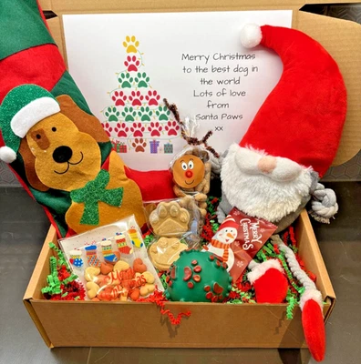 Dog Christmas Gift Box Treat Pamper Hamper Squeaky Toy Selection Present Puppy