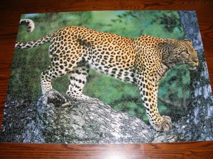 Gilde Leopard Puzzle, 1000 Teile, vollständig - Bild 1 von 4