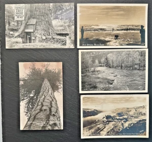 5 ALTE RPPC FOTO POSTKARTEN VON DER WESTKÜSTE : ODER WA & CA USP24 - Bild 1 von 15