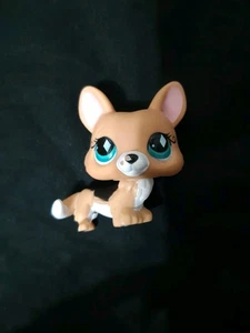 Littlest Petshop 724 Tan And Black Corgi Dog - Picture 1 of 3