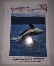 Orca Killer Whale #129 Wild Life Fact File Fold Out Card