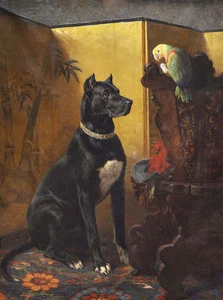 Great Dane and Parrot by Heinrich Sperling - Picture 1 of 1