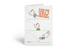 Funny Birthday Card - Single Birthday Card - Spring Chicken -11013 - Picture 1 of 6