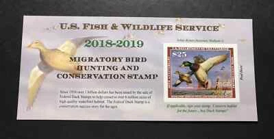 Estampilla de pato federal 2018-2019 Foto 1 de 2