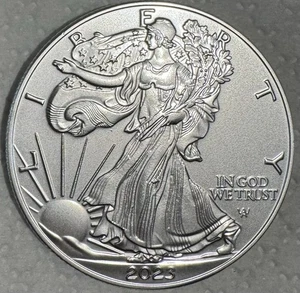 1oz Silver Eagle (silver Plate) Great Gift For Kids Or Beginning Collectors. - Picture 1 of 3