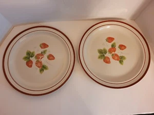 Fujistone Berries 2 Dinner Plates - Picture 1 of 5