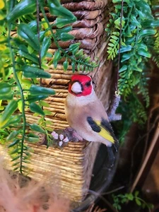 Goldfinch On Branch Hanging Garden Ornament Vivid Arts Garden Birds Decorations - Picture 1 of 9