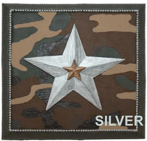 ARTE DE PARED CAMUFLADO Placa de Resina Estrella VERDE PLATEADO - Imagen 1 de 1