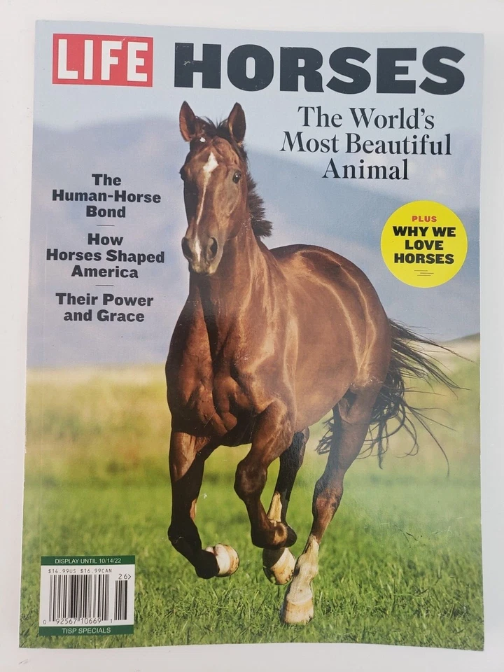 Van Halen • The Life • The Music • The Joy Eddie His Genious & His Glee 2023