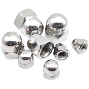 Dome Nuts Hex Domed Nuts Stainless Steel A2 M3 M4 M5 M6 M8 M10 M12 M14 M16 M20 - Picture 1 of 6
