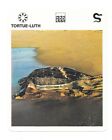 Fiche - Le livre de Paris - 1975 - Tortue-Luth