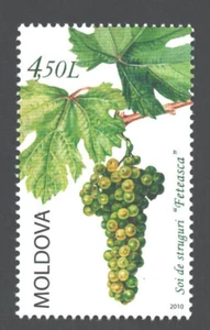 2010 Moldova The Feteasca grape Variety 1 v. MNH - Picture 1 of 1