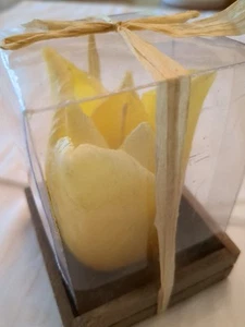 Beautiful Ivory Colored Tulip Shaped Candle 4" Tall, 2.5" Wide Great Detail - Picture 1 of 3