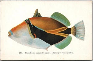 Vintage LONG BEACH, California Postcard THE SIMONDS AQUARIUM "Fishes of Hawaii" - Picture 1 of 2