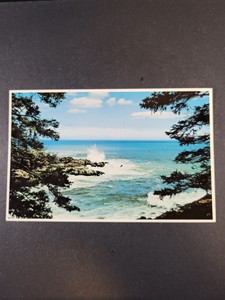 Postcard Hunter's Cove Ocean Drive Acadia National Park Maine Unposted Card