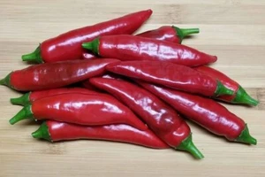 Kori Sitakame hot chili pepper seeds non-gmo heirloom VERY RARE LANDRACE VARIETY - Picture 1 of 8