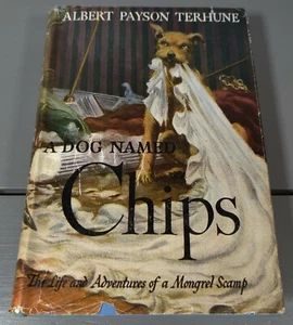 A Dog Named CHIPS by ALBERT PAYSON TERHUNE Grosset Dunlap 1931 HC/DJ - Picture 1 of 9