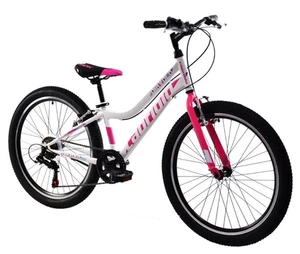 breluxx® 24 Zoll Mountainbike Capriolo Diavolo Sport , Shimano 6 G - weiss pink - Bild 1 von 9