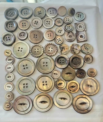 Lote De Colección De 65 Botones Madreperla/Concha De Abulón Varios Tamaños  Foto 1 de 4