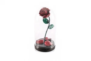 ® Hand Forged eternal Rose in Beauty and the Beast Glass Dome - Gift for Moth... - Picture 1 of 6