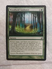 MTG Woodland Guidance Lorwyn 243/301 Regular Uncommon