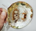 Large Table Stand Crab + Starfish Specimen in Clear Resin Block KC504-5
