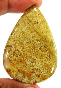 Piedra envolvente de alambre cabujón piedras preciosas sueltas coral fósil natural 89,60 quilates - 20726 - Imagen 1 de 2