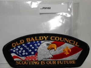 OLD BALDY COUNCIL 2000 SCOUTING IS OUR FUTURE CSP F9102 - Bild 1 von 1