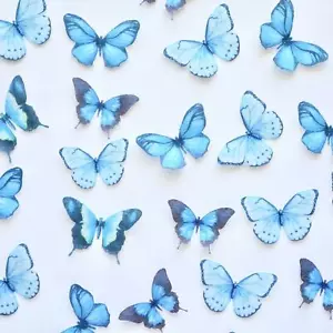 Edible Pre-Cut Wafer Butterfly - Dark Blue - Picture 1 of 3