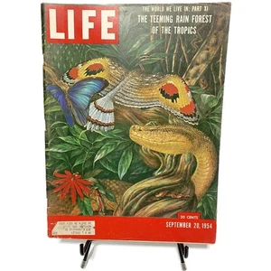 Life Magazine September 20 1954 Deadly Bushmaster & Morpho Butterfly Rain Forest - Picture 1 of 9