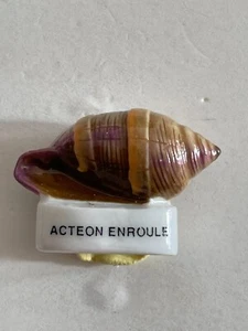 Fève - Les coquillages (1999) - Imagen 1 de 1