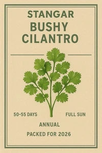 Stanger cilantro tupido - Imagen 1 de 5