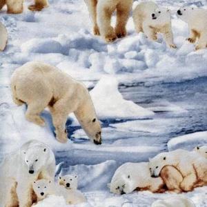 Edredón de nieve icebergs de osos polares tela de coser ELIZABETH'S STUDIO - Imagen 1 de 1