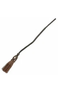 LICENSED WICKED WITCH OF THE WEST BROOM THEODORA WOMENS HALLOWEEN COSTUME - Picture 1 of 1