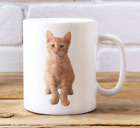 Orange Tabby Cat Mug Ceramic Mug Orange Cat Mug Novelty Birthday 11 oz Cute Cup