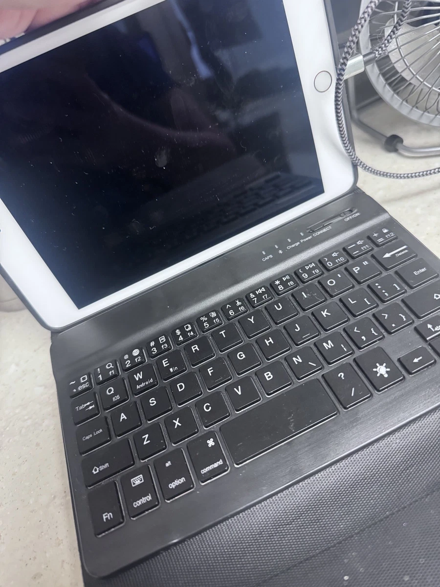 Apple iPad mini (5th Generation) A2133 256 GB, Wi-Fi, 7.9 in