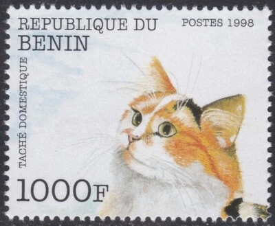 Specimen, Benin Sc1100 Single, Cat - Image 1 of 2