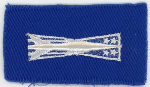 GENUINE USAF VIETNAM ERA FATIGUES UNIFORM MISSILE MAINTENANCE CREW WINGS PATCH - Bild 1 von 2