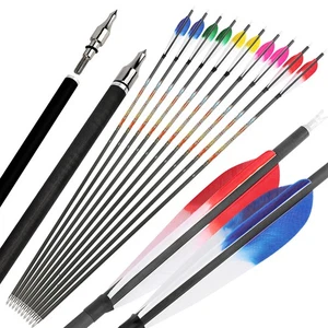 Archery 31" Pure Carbon Arrow ID6.2mm SP250-600 5'' Feathers Recurve Bow Hunting - Picture 1 of 21