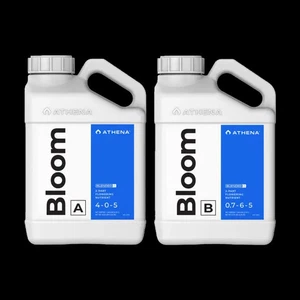Athena Bloom A&amp;B 1L / 4L - Bild 1 von 1