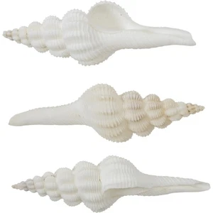 Carcasas de husillo de 6 nudos de 4-5" (juego de 6) carcasas artesanales - Imagen 1 de 1