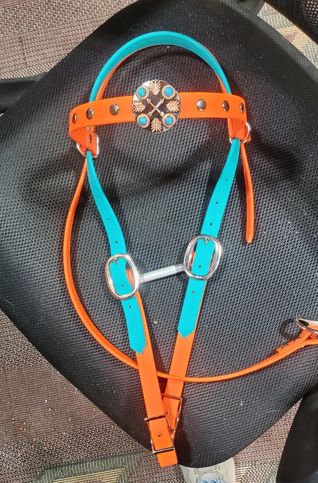 Juego de Tachuelas Biothane Personalizadas - Cabezal y Cuello de Pecho  Foto 1 de 2