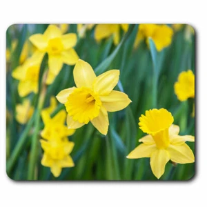 Computer Mouse Mat - Daffodil Flower Field Easter Office Gift #14350 - Picture 1 of 4