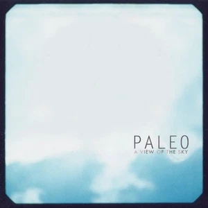 A View Of The Sky On By Paleo On Vinyl Record LP Brand New - Imagen 1 de 3
