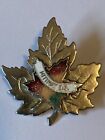 Canadian Mapel leaf Kitimat British Columbia enamel badge