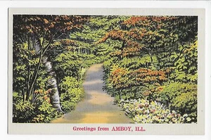 Vintage Postcard Amboy Ill Illinois Greetings Linen  - Picture 1 of 4
