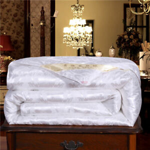 Silk Filled Comforter Quilt Duvet Blanket Coverlet Twin Full Queen King New